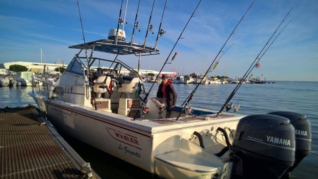 Barco 