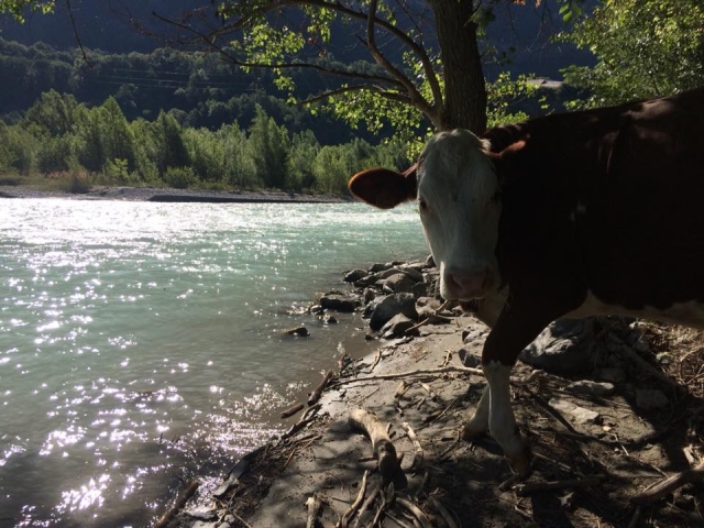Entorno natural Durance 