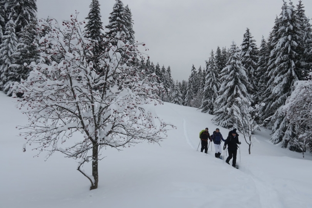 Día completo de camicrema con raquetas de nieve en Montrion.