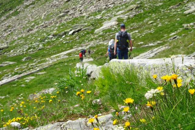  La primavera está hecha para las caminamarras.