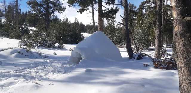  Descubrimiento de iglús duranle la actividad 