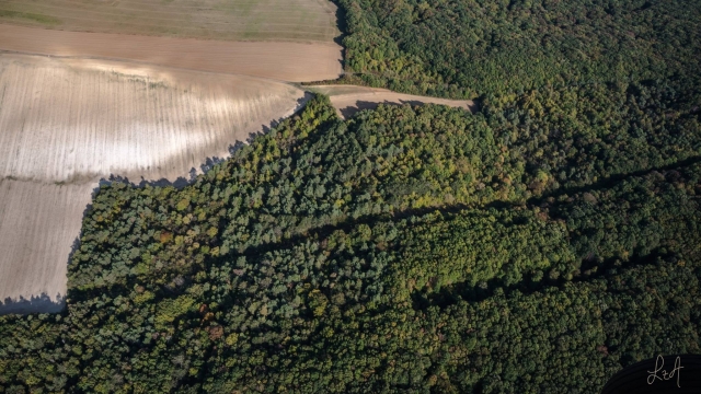 El verdor de la región de Borgoña-Franco Condado