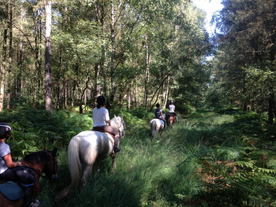Excursión en grupo Excursión en grupo