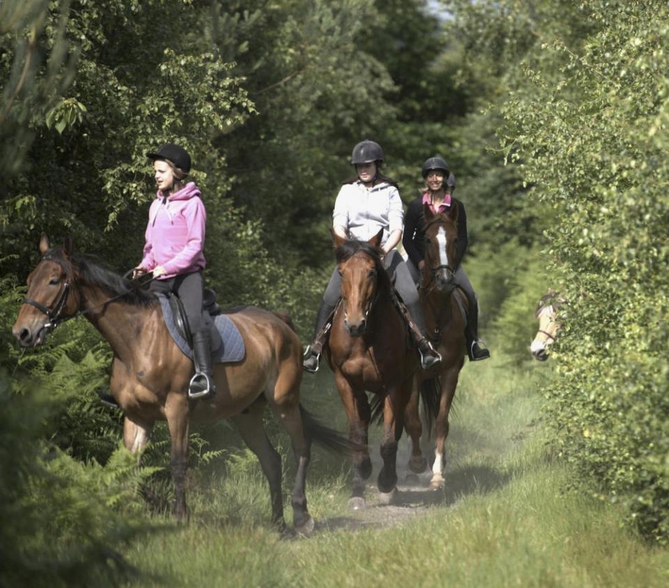  Paseo a caballo 