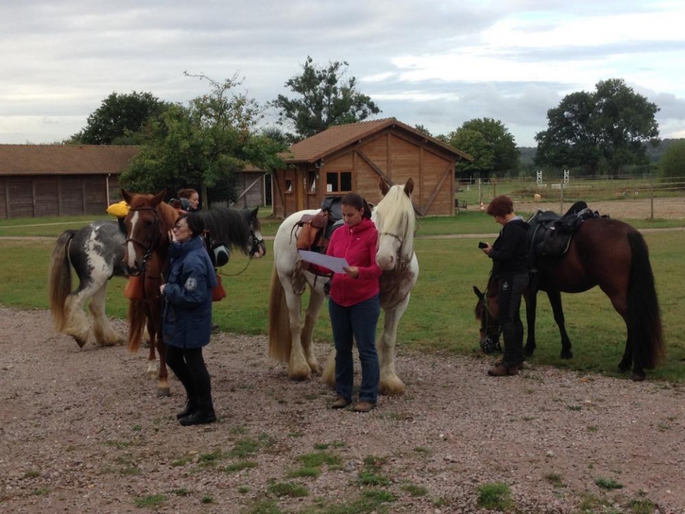 Preparación de ponys dobles Preparación de ponys dobles