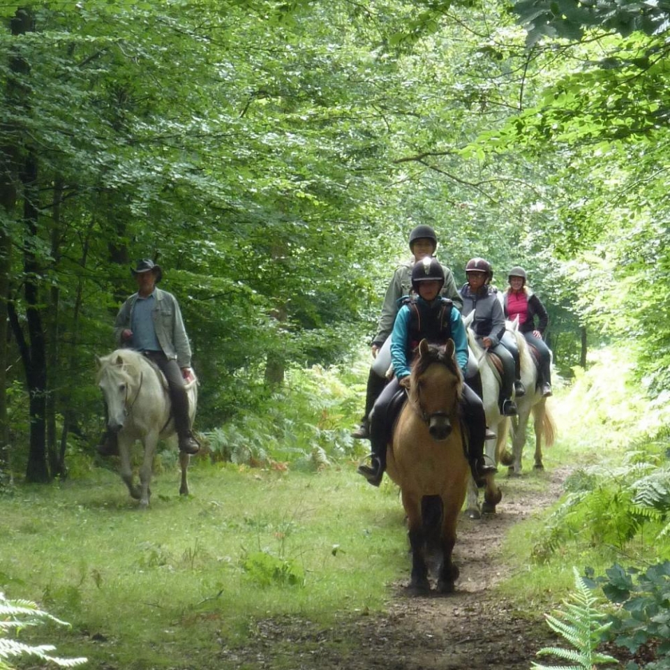 En el bosque de Brotonne En el bosque de Brotonne
