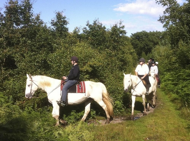  Descubrimiento del bosque de Brotonne a caballo 