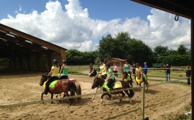  Actividad sobre ponis 