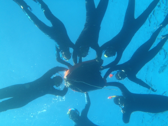  Snorkel en grupo 