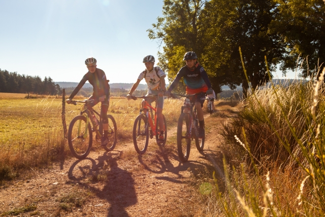 Viaje en bicicleta de cerro con amigos cerca de La Ciotat 