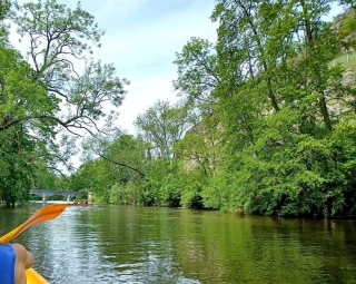 Kayak de medio día en Saint-Moré