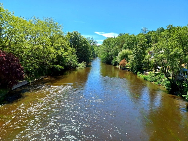  El río La Cure 