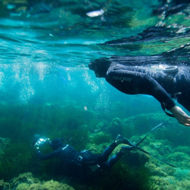 Buceo 