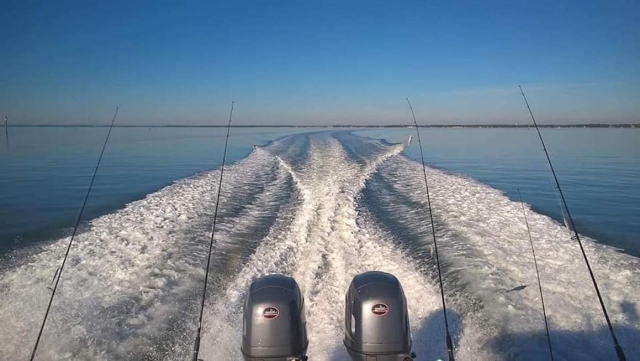  Pesca sin matar