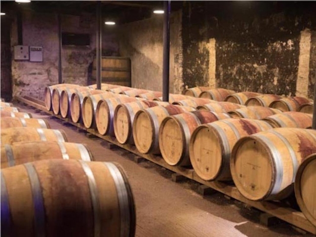 Visita a bodegas 