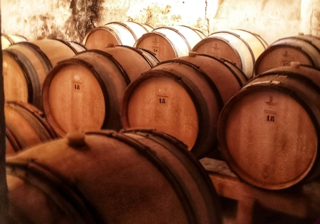 Visita a las bodegas 