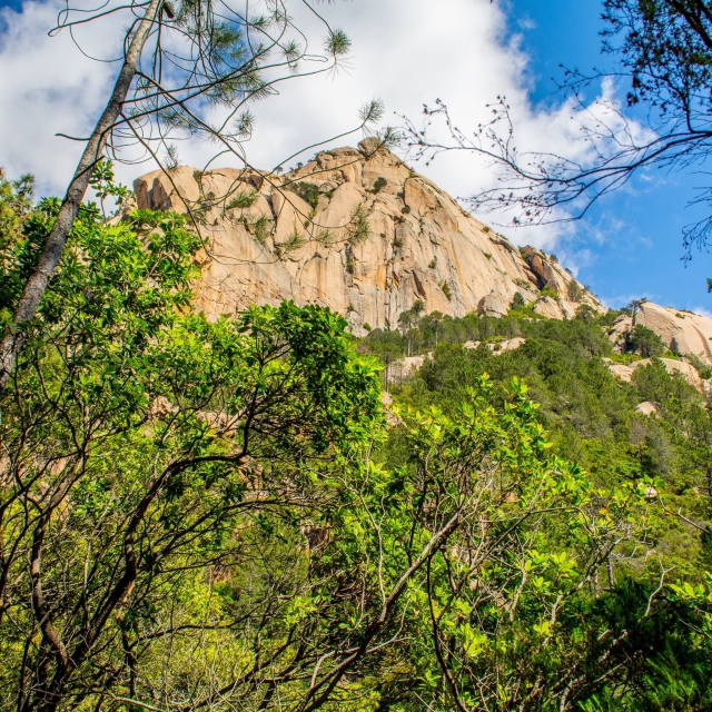  La naturaleza salvaje de las Aiguilles de Bavella 