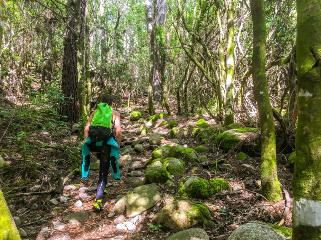  Descubrimiento de la biodiversidad de la maquia corsa 