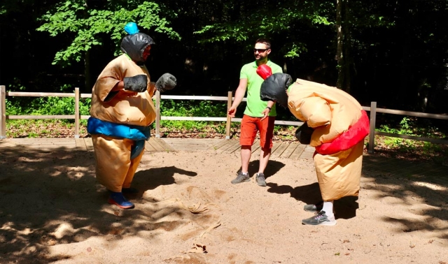 Lucha de sumo 