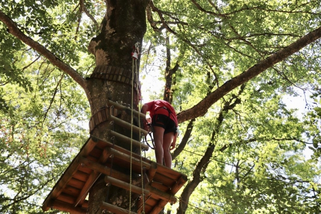  Curso de aventura en las copas de los árboles en Curley 