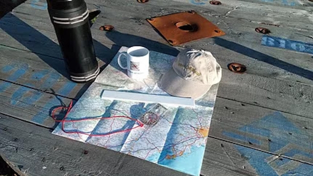  Aventura en la selva 