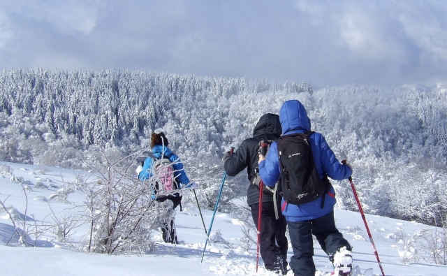  Camicrema con raquetas de nieve 