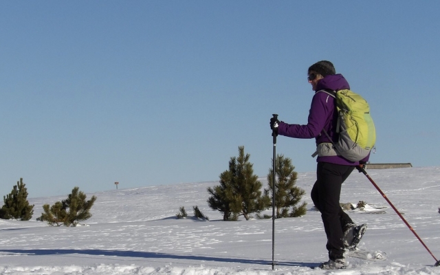  Instructor experimentado 