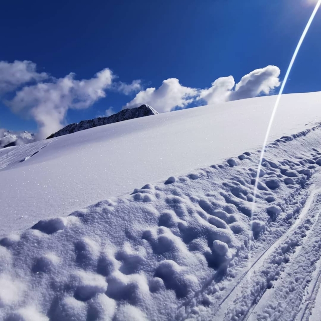  Preciosa nieve polvo 