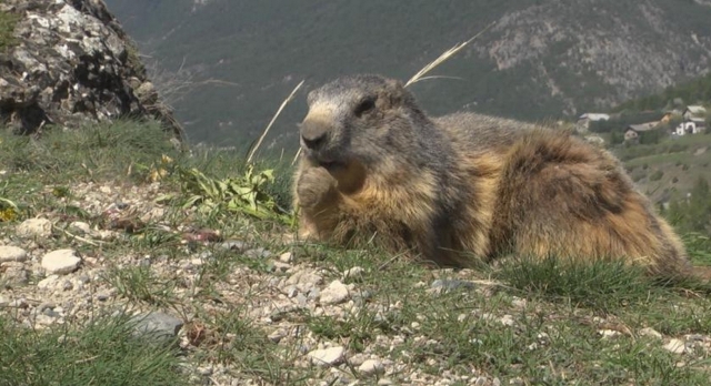  En Ariège 