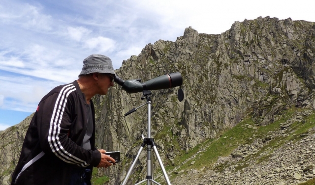 Observación de marmotas 