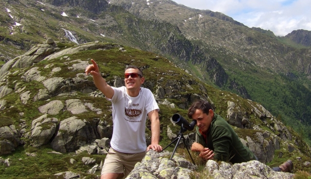  Observación de especies de los Pirineos 
