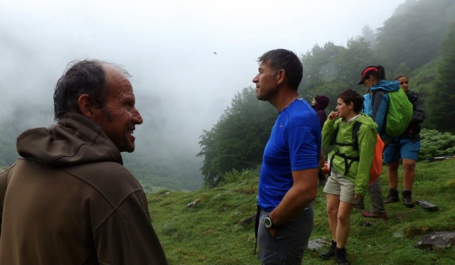 Camicrema de observación