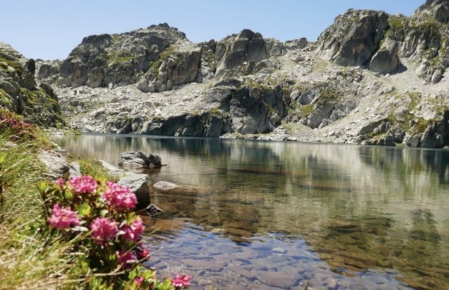  Jornada de descubrimiento de la flora 
