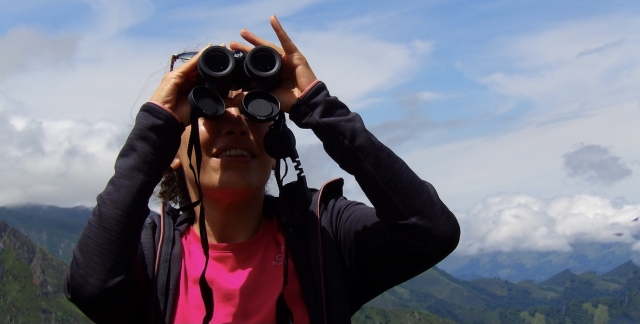 Observación Ibex 