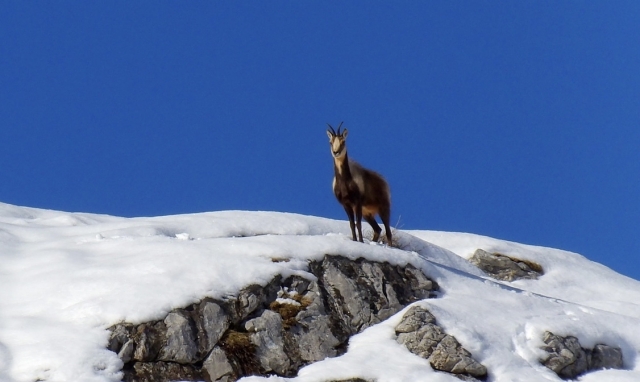  Excursión de invierno 