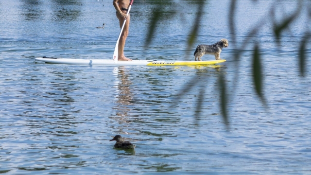  Stand Up Paddle para todos 