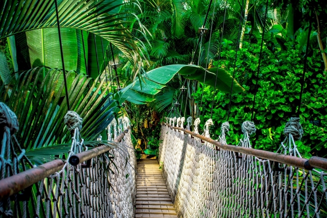  Naturaleza en altura 