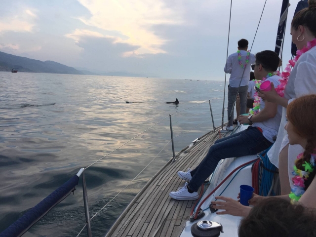  Contemplación de la bahía de la higuera 