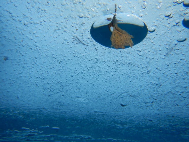  Burbuja de aire en las aguas heladas 