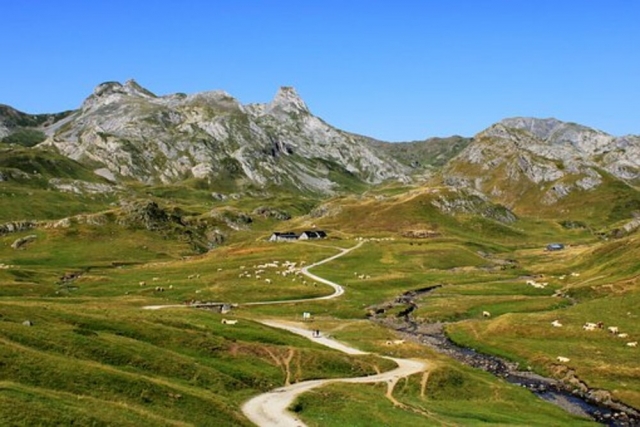  Paisaje verde que ofrece el río 