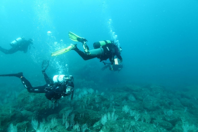  Buceo hacia Le Barcarès 
