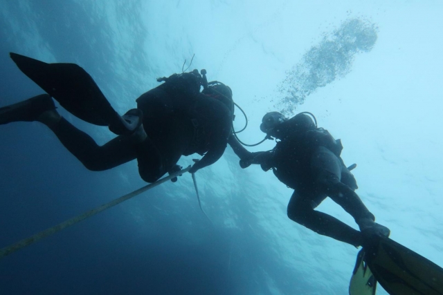  Buceo supervisado en Le Barcarès 