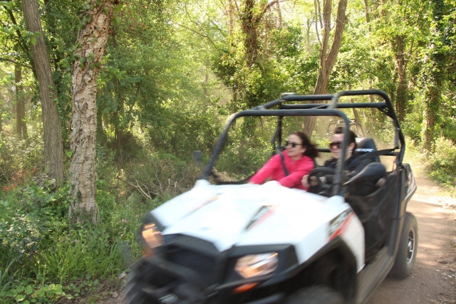  Velocidad y adrenalina en buggy 