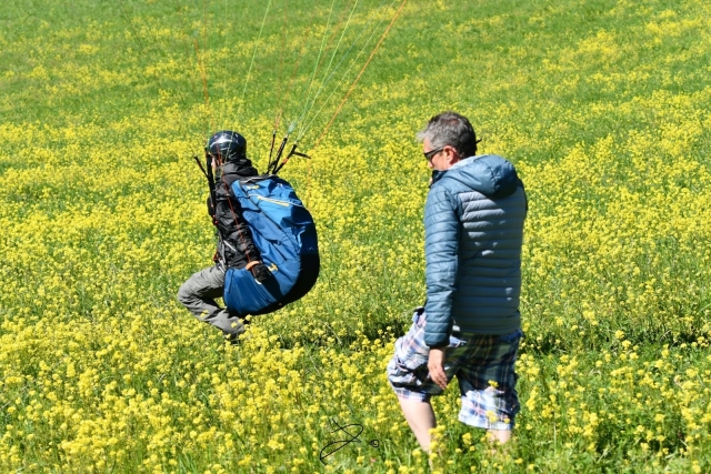  Parapenle en los Alpes de Alta Provenza 