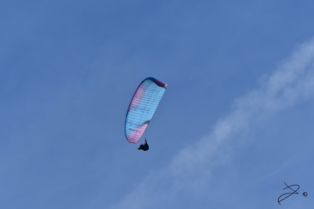  Emociones en parapenle 