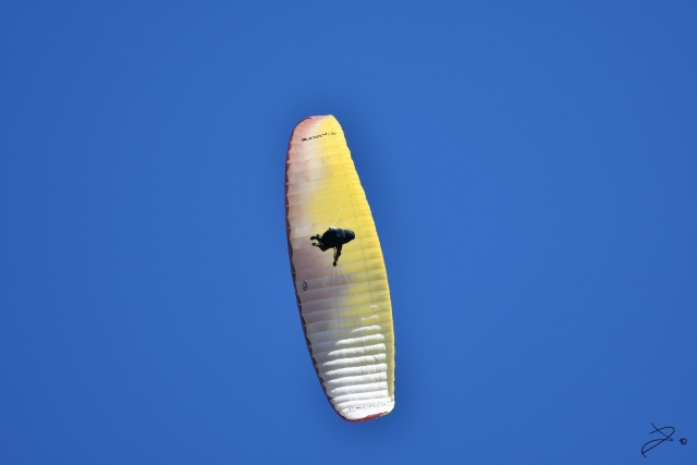  Relajación garantizada con el parapenle 