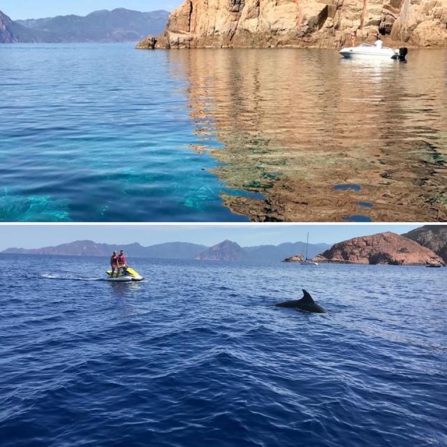  Una sorpresa a orillas de Capo Rosso 