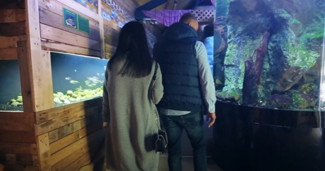  Visita al acuario 
