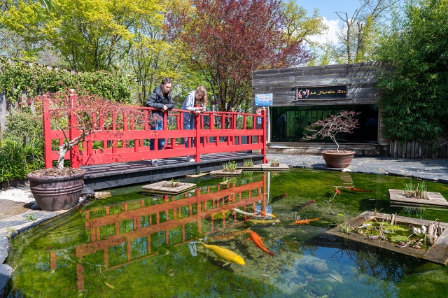  Tiempo de relajación en el jardín zen 