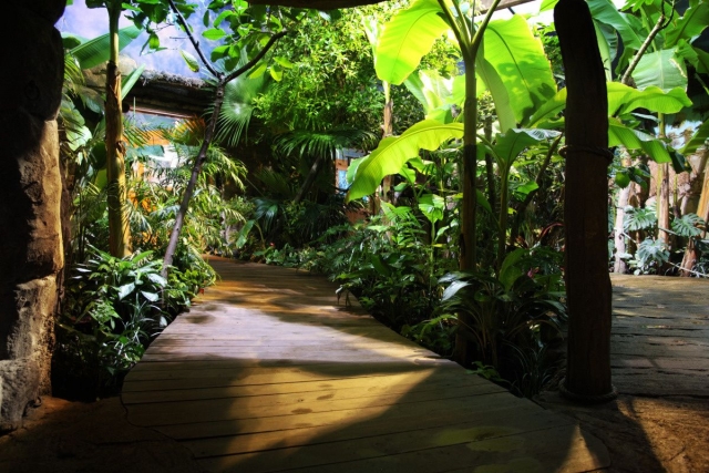  Entrada al acuario 
